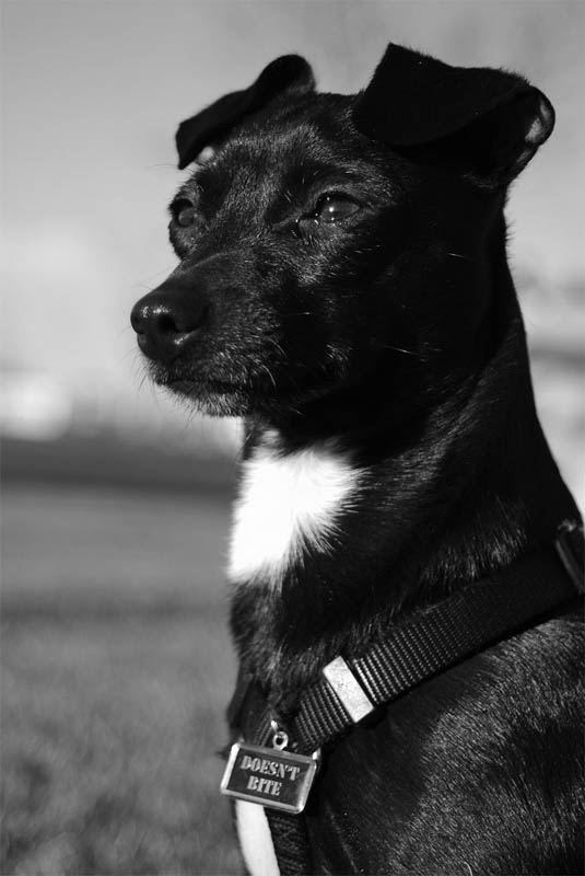 DSC_0054